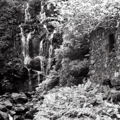 WASHI Film “Z” ISO 400 135 24 Images – Near Infrared Film